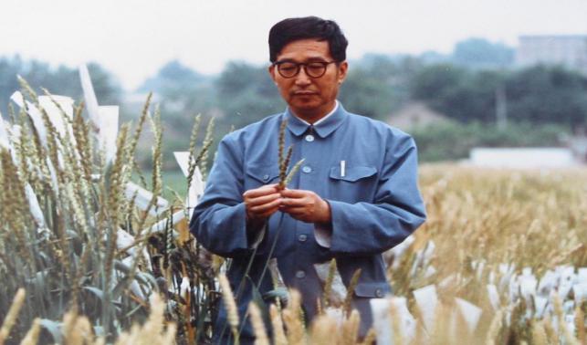 躬耕農(nóng)業(yè) 持之以恒——“共和國(guó)勛章”獲得者李振聲