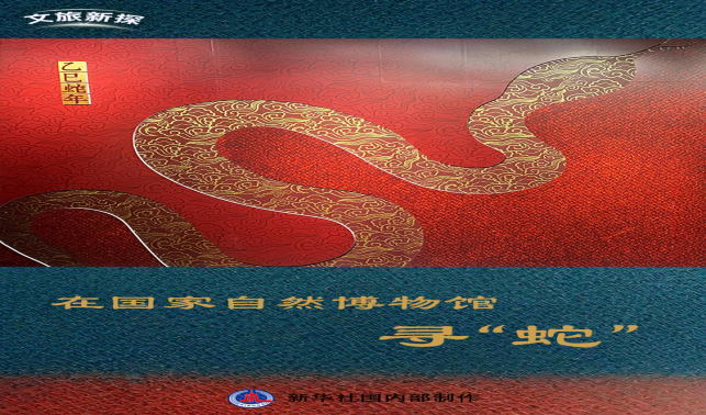 文旅新探｜在國家自然博物館尋“蛇”：感知生生不息的科學(xué)演化和文化傳承