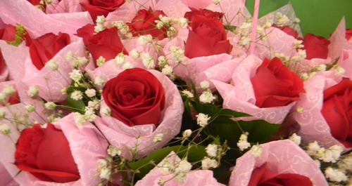 “情人節(jié)”將至 玫瑰花生意火爆