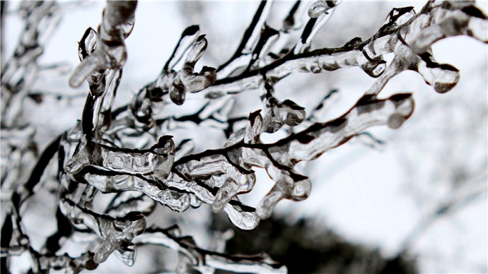 鎮(zhèn)安塔云山顯霧凇奇觀