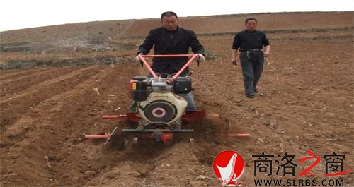 商州烤煙起壟實(shí)現(xiàn)機(jī)械化