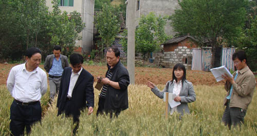 市農(nóng)業(yè)局組織農(nóng)業(yè)專(zhuān)家下鄉(xiāng)考察