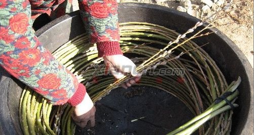 洛南寨子柳編——獨具特色三省聞名