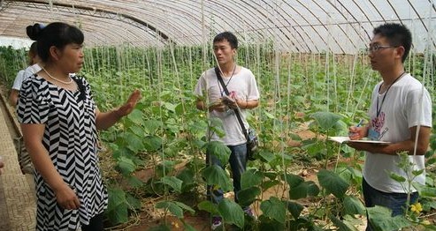 商洛學院志愿者赴丹、商開展社會實踐活動