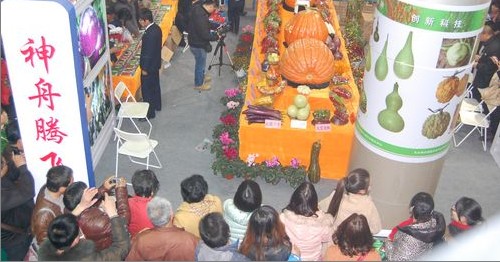 商洛市農科深入農高會現(xiàn)場考察參訪