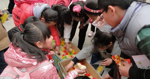 商州：彩色小雞衛(wèi)生安全隱患多