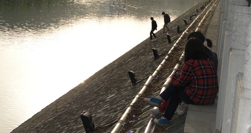 天氣轉(zhuǎn)暖丹江河邊納涼要注意安全