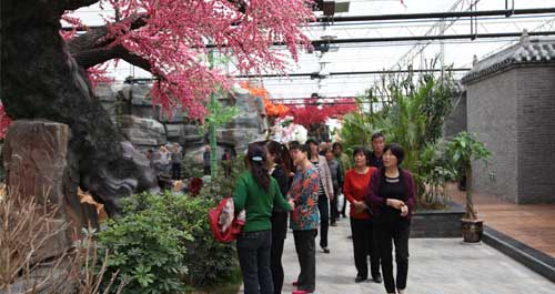 預(yù)計總投資2.4億元的佳騫現(xiàn)代農(nóng)業(yè)示范園4月30日開園