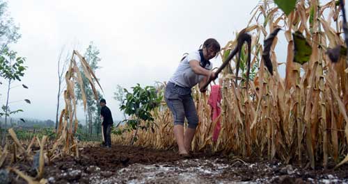 搶抓墑情以秋補秋