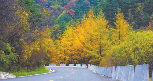 商洛秋天美如畫