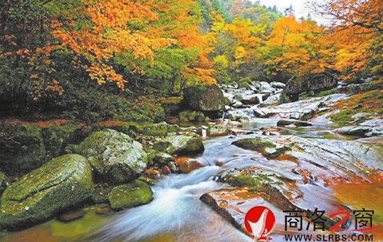 牛背梁滿山紅遍，層林盡染。