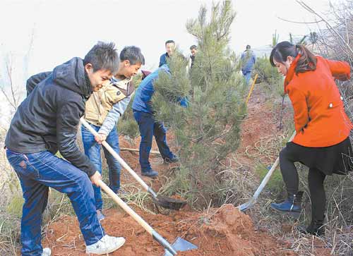 丹鳳縣干部職工在金山公園開展義務(wù)植樹活動(圖文)