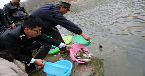 125萬尾魚苗放流丹江