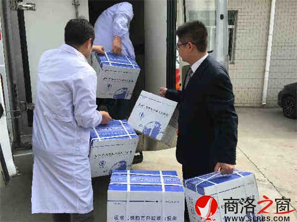 市民參與，一起將疫苗搬運到冷藏車。