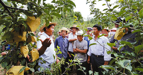我市農(nóng)技人員紛紛來到貧困村開辦“田間課堂”傳授科學(xué)種植和病害防治知識