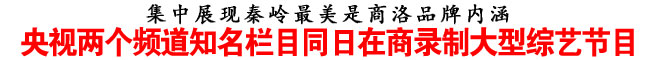 央視兩個頻道知名欄目同日在商錄制大型綜藝節(jié)目