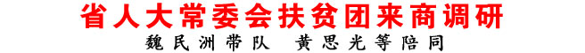 省人大常委會(huì)扶貧團(tuán)來(lái)商調(diào)研