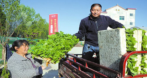 煙農(nóng)在洛南烤煙育苗基地領(lǐng)取煙苗