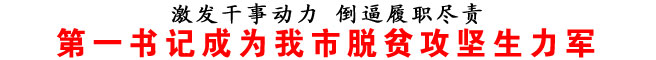 第一書記成為我市脫貧攻堅生力軍