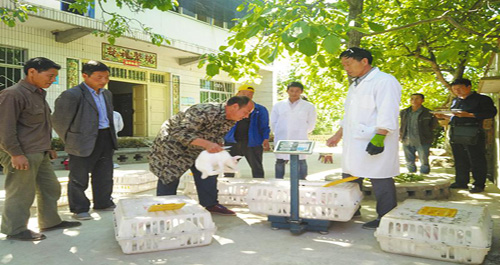 洛南兔業(yè)合作社上門為群眾服務(wù)