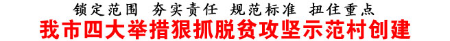 我市四大舉措狠抓脫貧攻堅(jiān)示范村創(chuàng)建