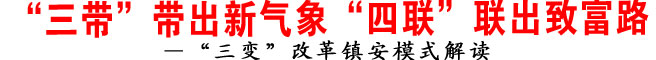 ——“三變”改革鎮(zhèn)安模式解讀