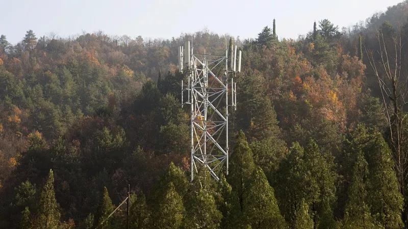 1密林深處，豎立起格外醒目的移動4G基站.jpg
