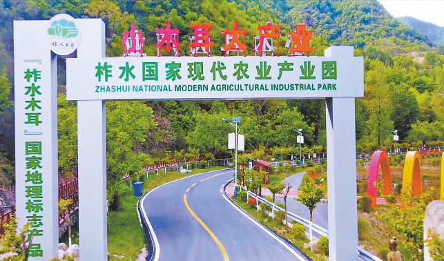建設全域“四好農(nóng)村路” 打通鄉(xiāng)村振興“快車道”