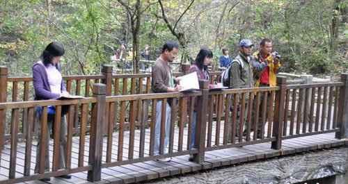 百名畫家商洛采風(fēng) 牛背梁美景畫中留