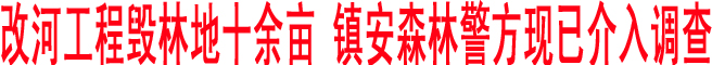 改河工程毀林地十余畝 鎮(zhèn)安森林警方現(xiàn)已介入調(diào)查