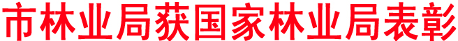 市林業(yè)局獲國家林業(yè)局表彰