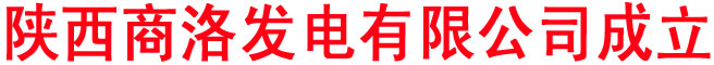陜西商洛發(fā)電有限公司成立