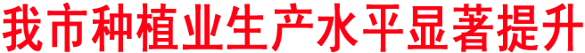 我市種植業(yè)生產(chǎn)水平顯著提升