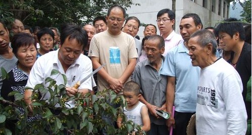 我市林業(yè)部門(mén)深入田間指導(dǎo)果農(nóng)開(kāi)展病蟲(chóng)害防治