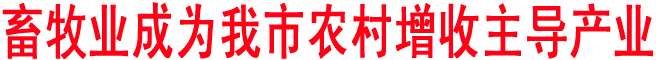 畜牧業(yè)成為我市農(nóng)村增收主導(dǎo)產(chǎn)業(yè)