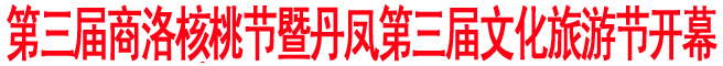 第三屆商洛核桃節(jié)暨丹鳳第三屆文化旅游節(jié)開幕