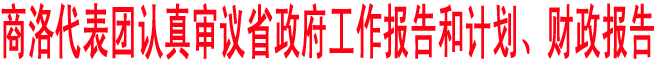 商洛代表團(tuán)認(rèn)真審議省政府工作報(bào)告和計(jì)劃、財(cái)政報(bào)告