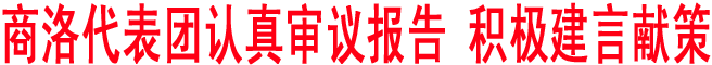 商洛代表團(tuán)認(rèn)真審議報(bào)告 積極建言獻(xiàn)策