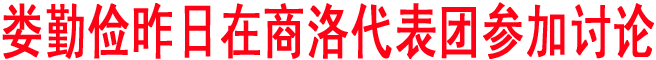 婁勤儉昨日在商洛代表團(tuán)參加討論