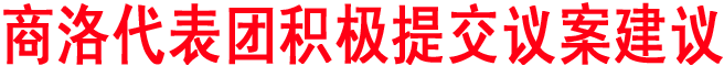 商洛代表團(tuán)積極提交議案建議