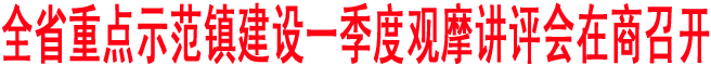 全省重點(diǎn)示范鎮(zhèn)建設(shè)一季度觀摩講評(píng)會(huì)在商召開