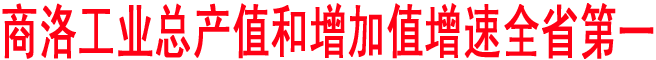 商洛工業(yè)總產(chǎn)值和增加值增速全省第一