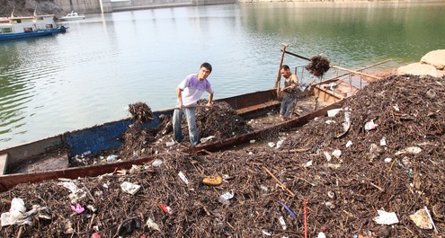 商洛二龍山水庫管理處為凈化保護(hù)水源
