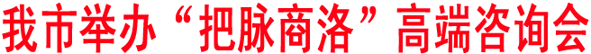 商洛舉辦“把脈商洛”高端咨詢會(huì)