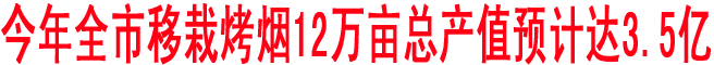 今年商洛移栽烤煙12萬(wàn)畝總產(chǎn)值預(yù)計(jì)達(dá)3.5億