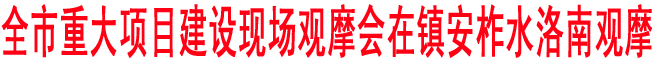 商洛市重大項目建設(shè)現(xiàn)場觀摩會在鎮(zhèn)安柞水洛南觀摩