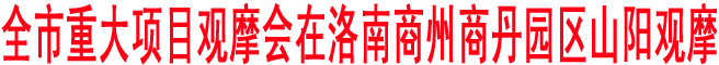 商洛市重大項(xiàng)目觀摩會(huì)在洛南商州商丹園區(qū)山陽(yáng)觀摩