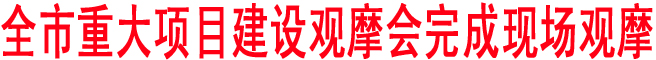 商洛市重大項目建設(shè)觀摩會完成現(xiàn)場觀摩