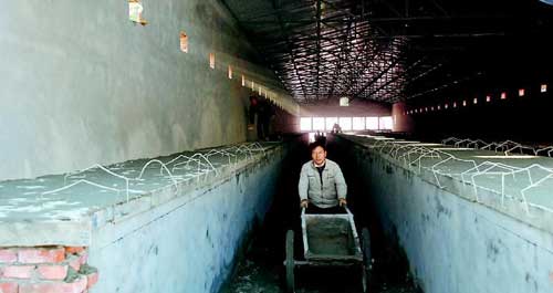 總投資1200萬元的洛南家庭農(nóng)場(chǎng)正在緊張施工