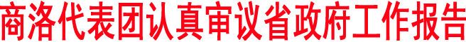 商洛代表團(tuán)認(rèn)真審議省政府工作報(bào)告和計(jì)劃、財(cái)政報(bào)告